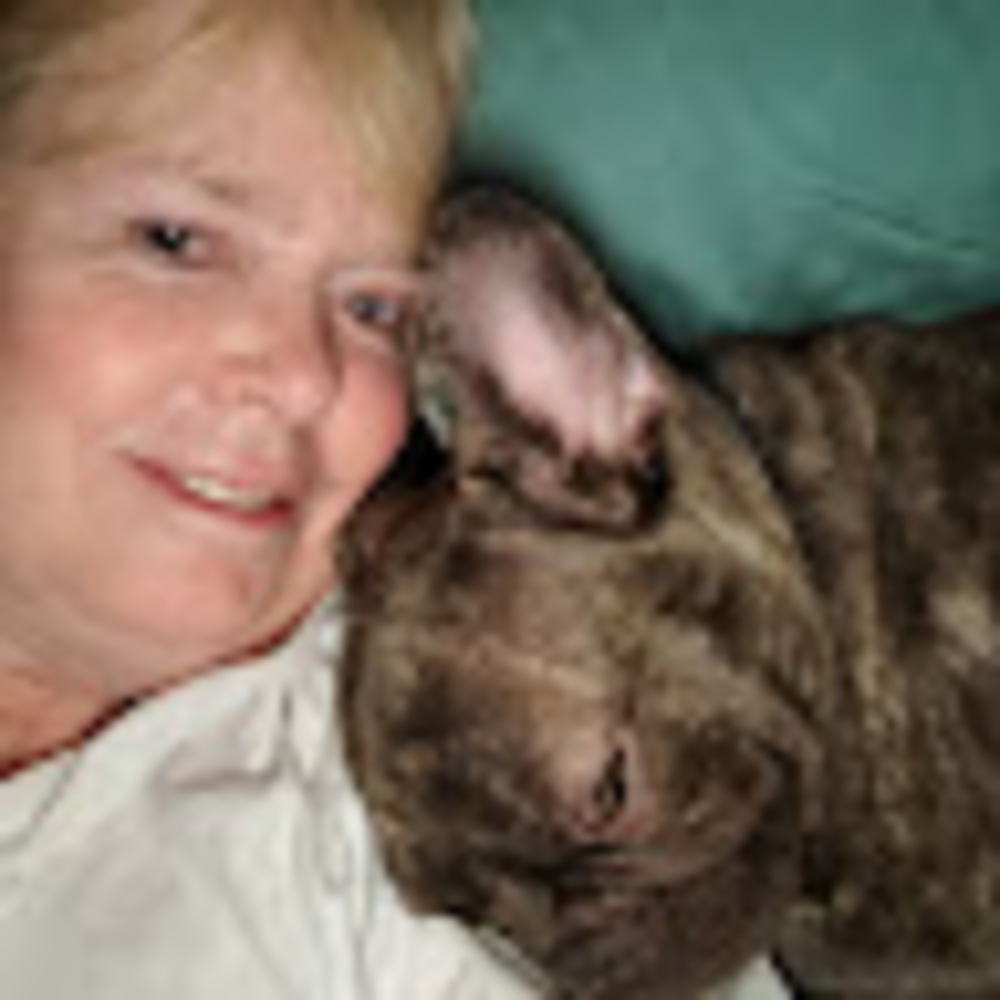 Meet your Posher, Patty